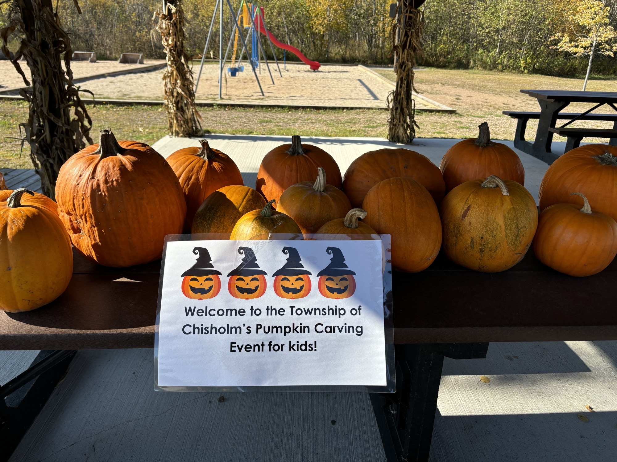 <div class="text-large">Kids Pumpkin Carving Event</div><div class="text-small text-muted">Photo Credit: Rec. Committee</div>